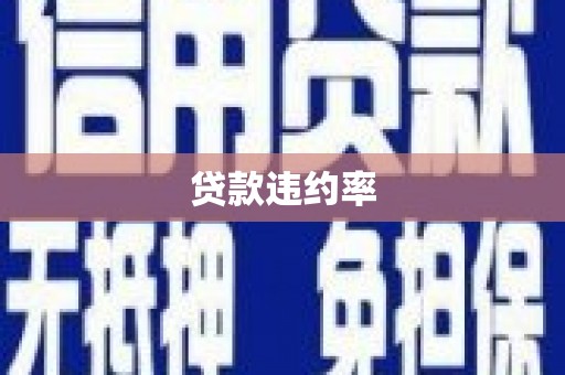 赫山贷款违约率