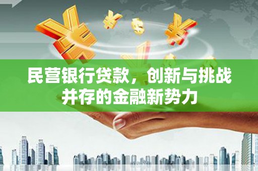 马边民营银行贷款，创新与挑战并存的金融新势力