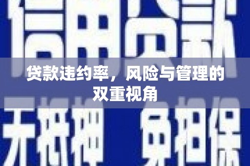 隆尧贷款违约率，风险与管理的双重视角
