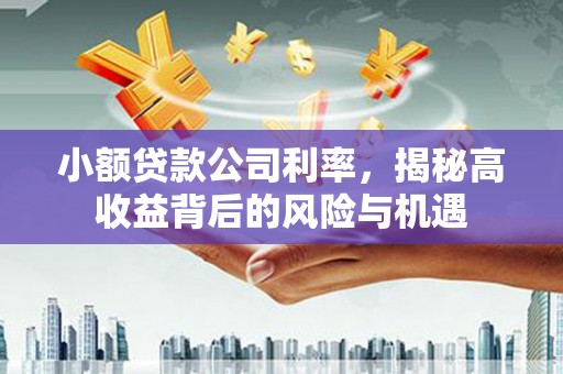 晋江小额贷款公司利率，揭秘高收益背后的风险与机遇
