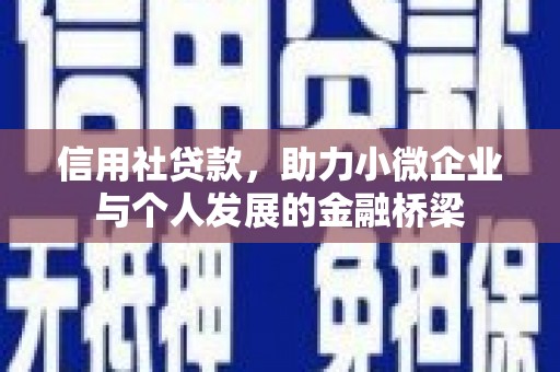 湖西信用社贷款，助力小微企业与个人发展的金融桥梁