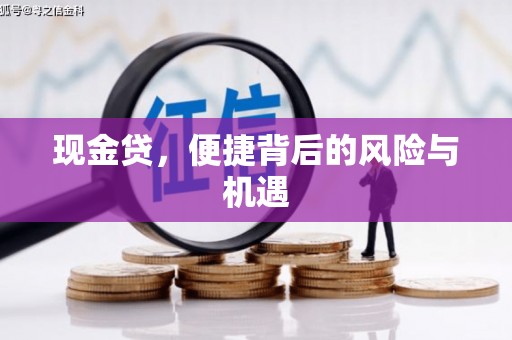 青秀现金贷，便捷背后的风险与机遇