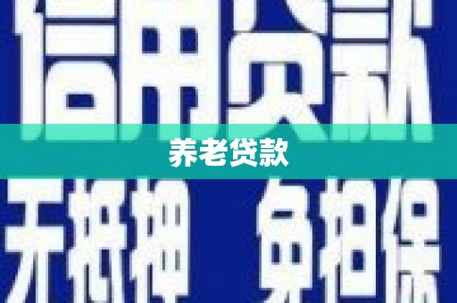 全南养老贷款