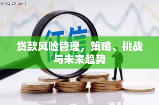 徽州贷款风险管理，策略、挑战与未来趋势