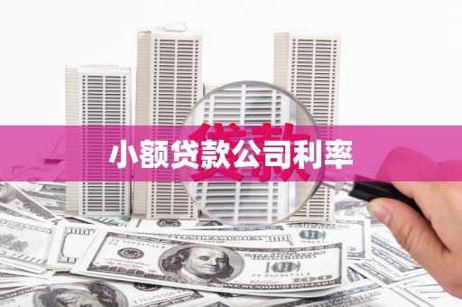 天峨小额贷款公司利率