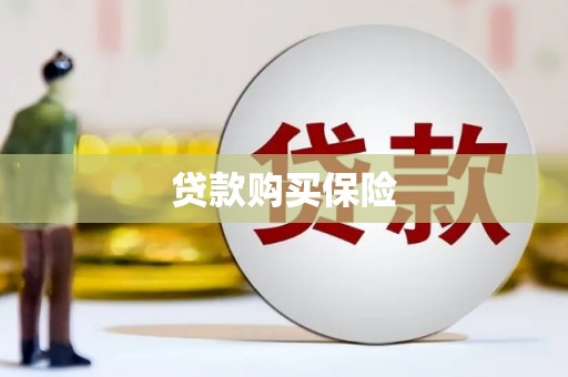 亳州贷款购买保险
