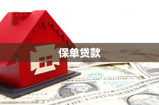 进贤保单贷款