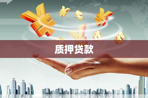 南溪质押贷款