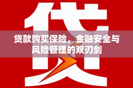邢台贷款购买保险，金融安全与风险管理的双刃剑