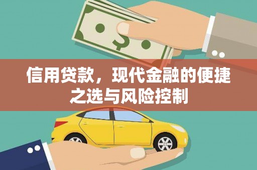 长洲信用贷款，现代金融的便捷之选与风险控制