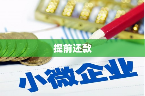 云和提前还款