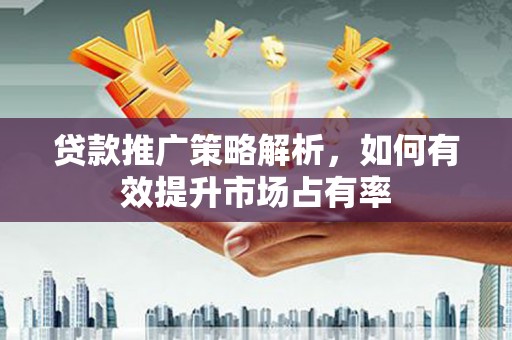 盐湖贷款推广策略解析，如何有效提升市场占有率