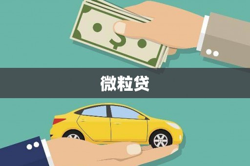 任城微粒贷