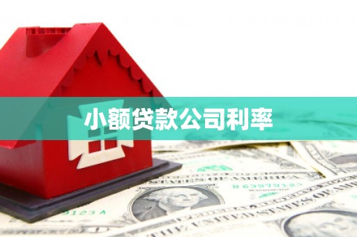 麦积小额贷款公司利率