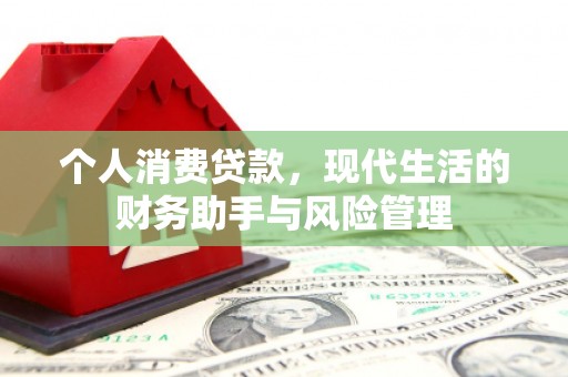 修文个人消费贷款，现代生活的财务助手与风险管理