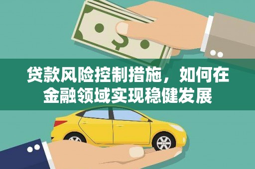 莱城贷款风险控制措施，如何在金融领域实现稳健发展