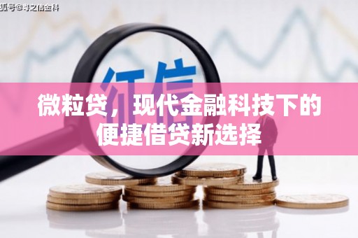 竹崎微粒贷，现代金融科技下的便捷借贷新选择