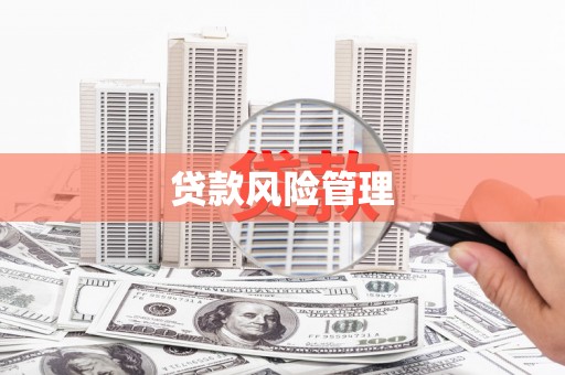 阿巴嘎旗贷款风险管理