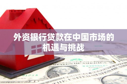 项城外资银行贷款在中国市场的机遇与挑战