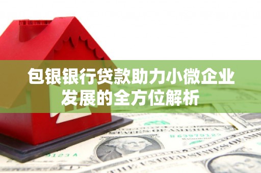 射阳包银银行贷款助力小微企业发展的全方位解析