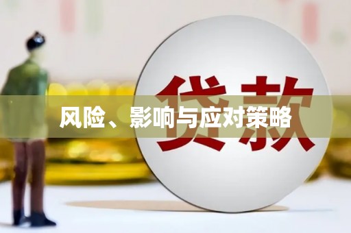 泰安风险、影响与应对策略