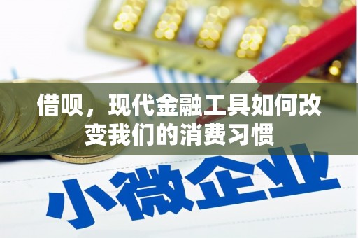鹤岗借呗，现代金融工具如何改变我们的消费习惯