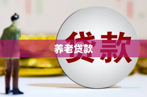 贞丰养老贷款