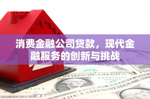 循化消费金融公司贷款，现代金融服务的创新与挑战