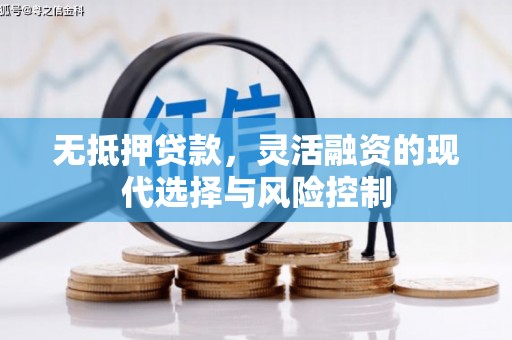 阳谷无抵押贷款，灵活融资的现代选择与风险控制