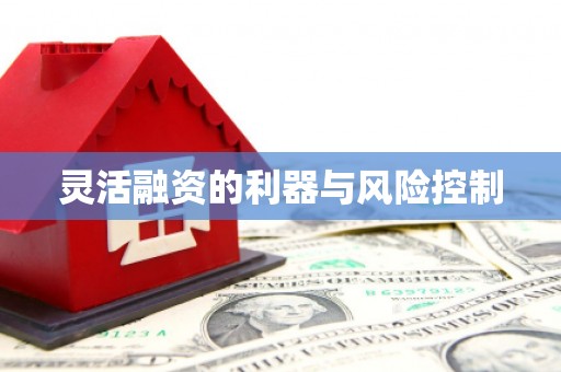 平舆灵活融资的利器与风险控制