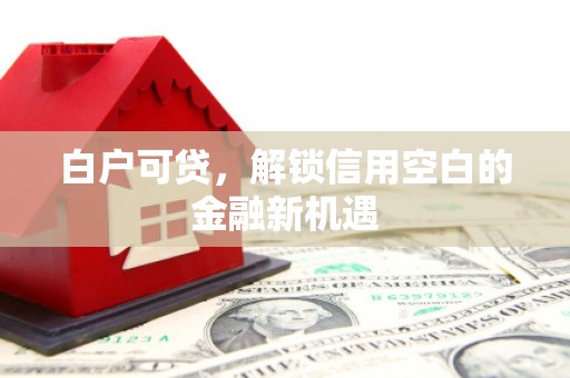 成县白户可贷，解锁信用空白的金融新机遇
