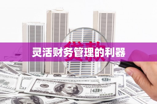 班玛灵活财务管理的利器
