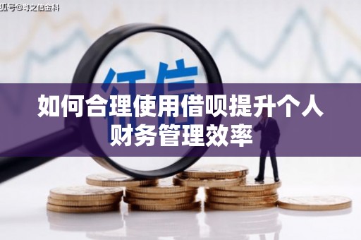赤坎如何合理使用借呗提升个人财务管理效率