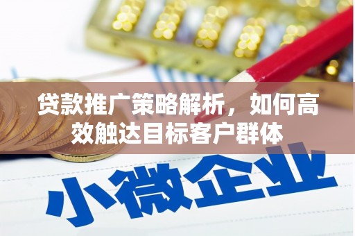 海盐贷款推广策略解析，如何高效触达目标客户群体