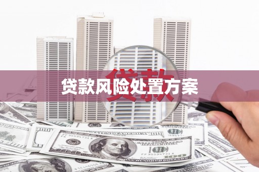 修武贷款风险处置方案