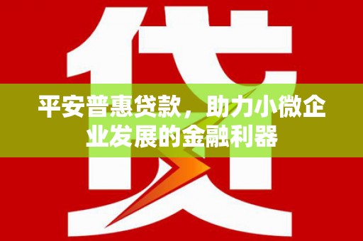 武侯平安普惠贷款，助力小微企业发展的金融利器