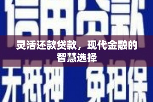 泸县灵活还款贷款，现代金融的智慧选择
