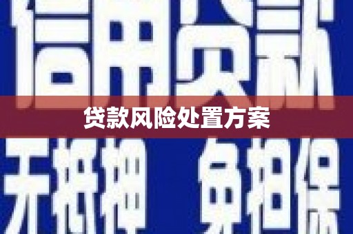 盐湖贷款风险处置方案