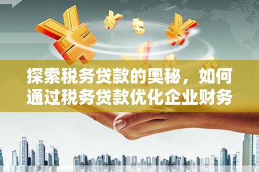 兰山探索税务贷款的奥秘，如何通过税务贷款优化企业财务