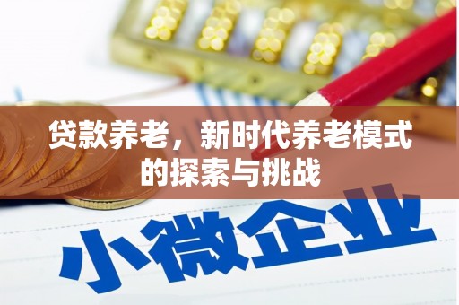 海原贷款养老，新时代养老模式的探索与挑战