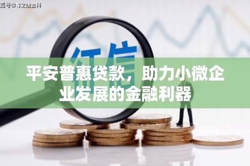 白山平安普惠贷款，助力小微企业发展的金融利器