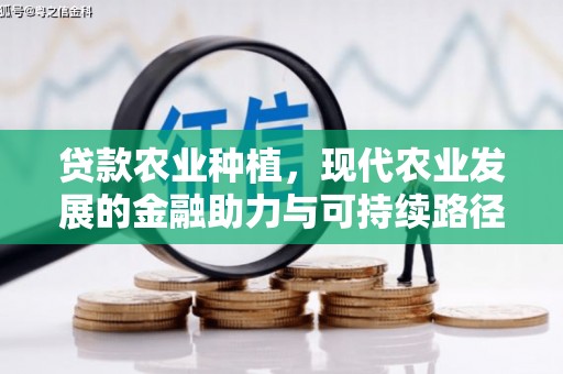 攀枝花贷款农业种植，现代农业发展的金融助力与可持续路径