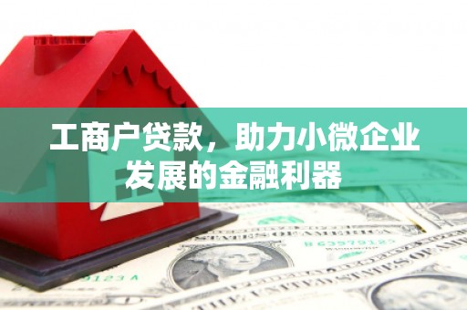 大邑工商户贷款，助力小微企业发展的金融利器