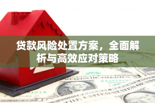 德格贷款风险处置方案，全面解析与高效应对策略