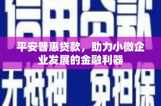 自贡平安普惠贷款，助力小微企业发展的金融利器
