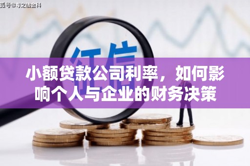 楠西小额贷款公司利率，如何影响个人与企业的财务决策