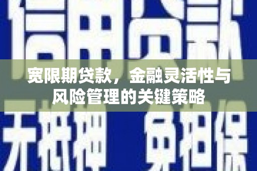 顺河宽限期贷款，金融灵活性与风险管理的关键策略