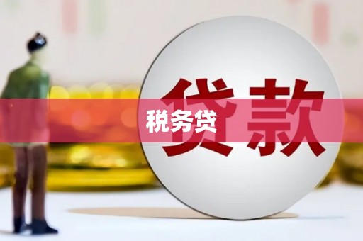 元长税务贷