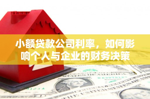 理县小额贷款公司利率，如何影响个人与企业的财务决策