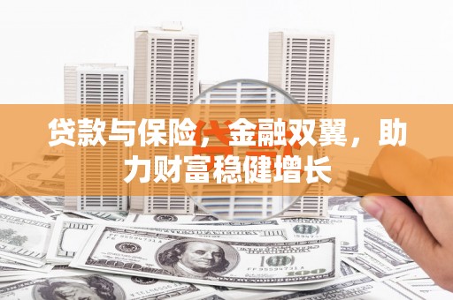 项城贷款与保险，金融双翼，助力财富稳健增长